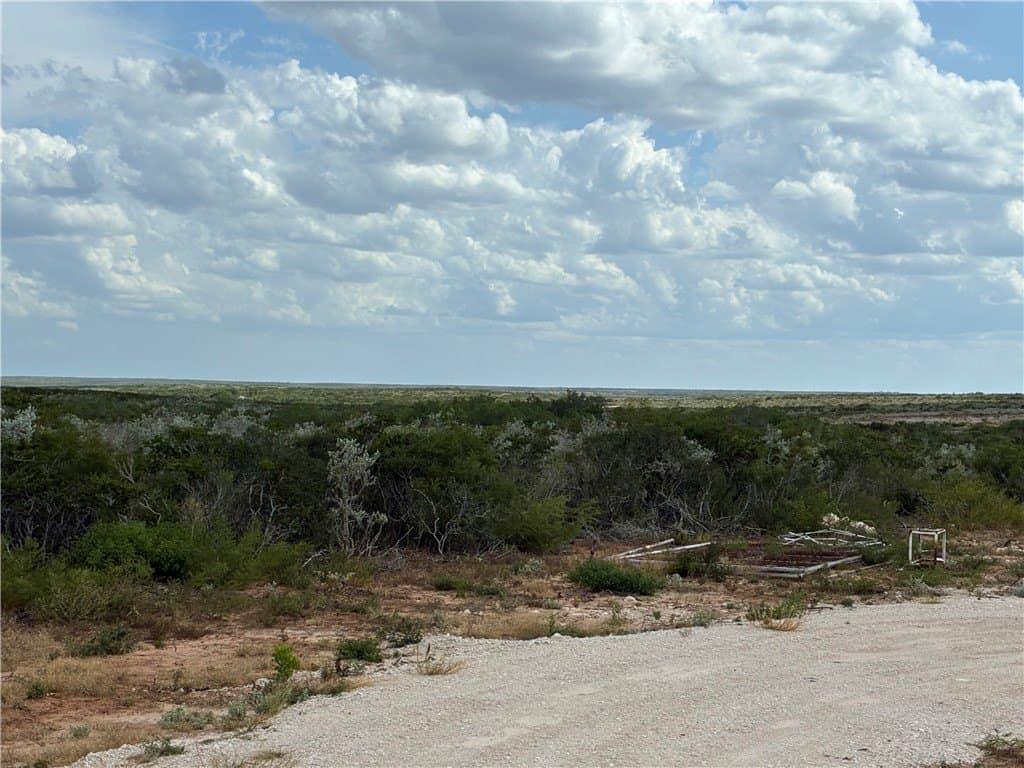 22.37 acres in Duval County - photo 3