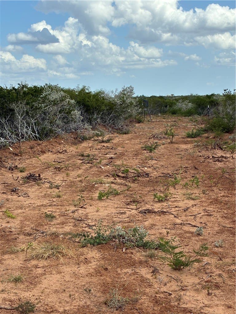 22.37 acres in Duval County - photo 6