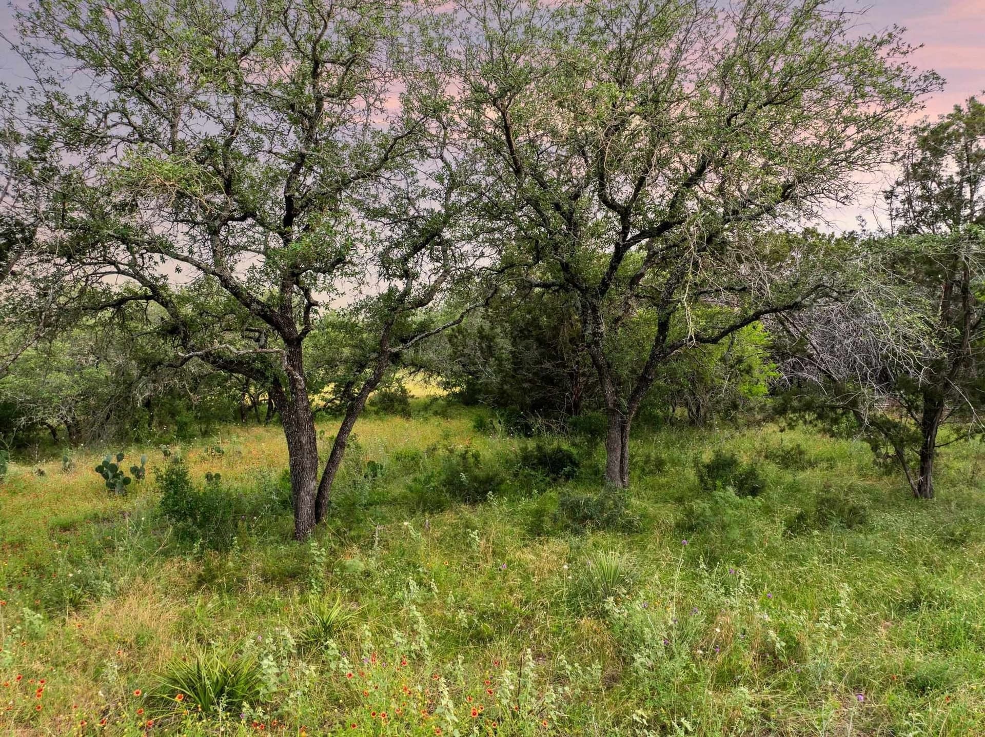 50 acres in Burnet County - photo 24