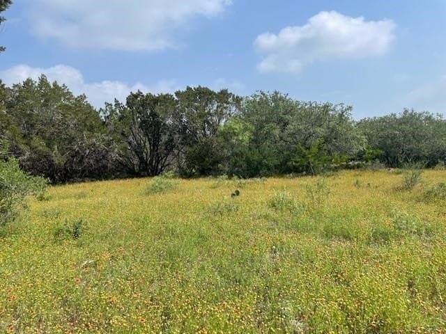 50 acres in Burnet County - photo 28