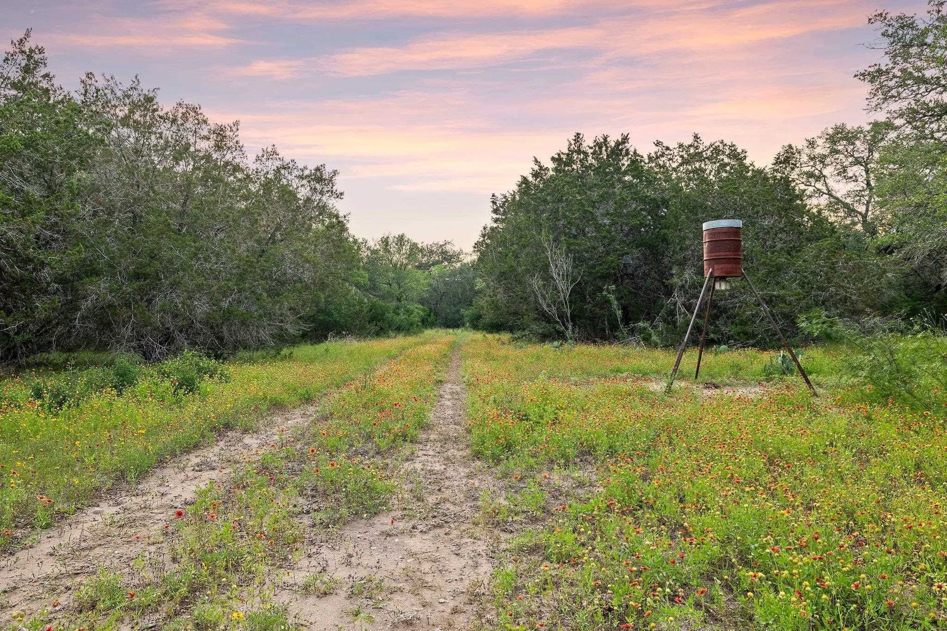 50 acres in Burnet County - photo 7