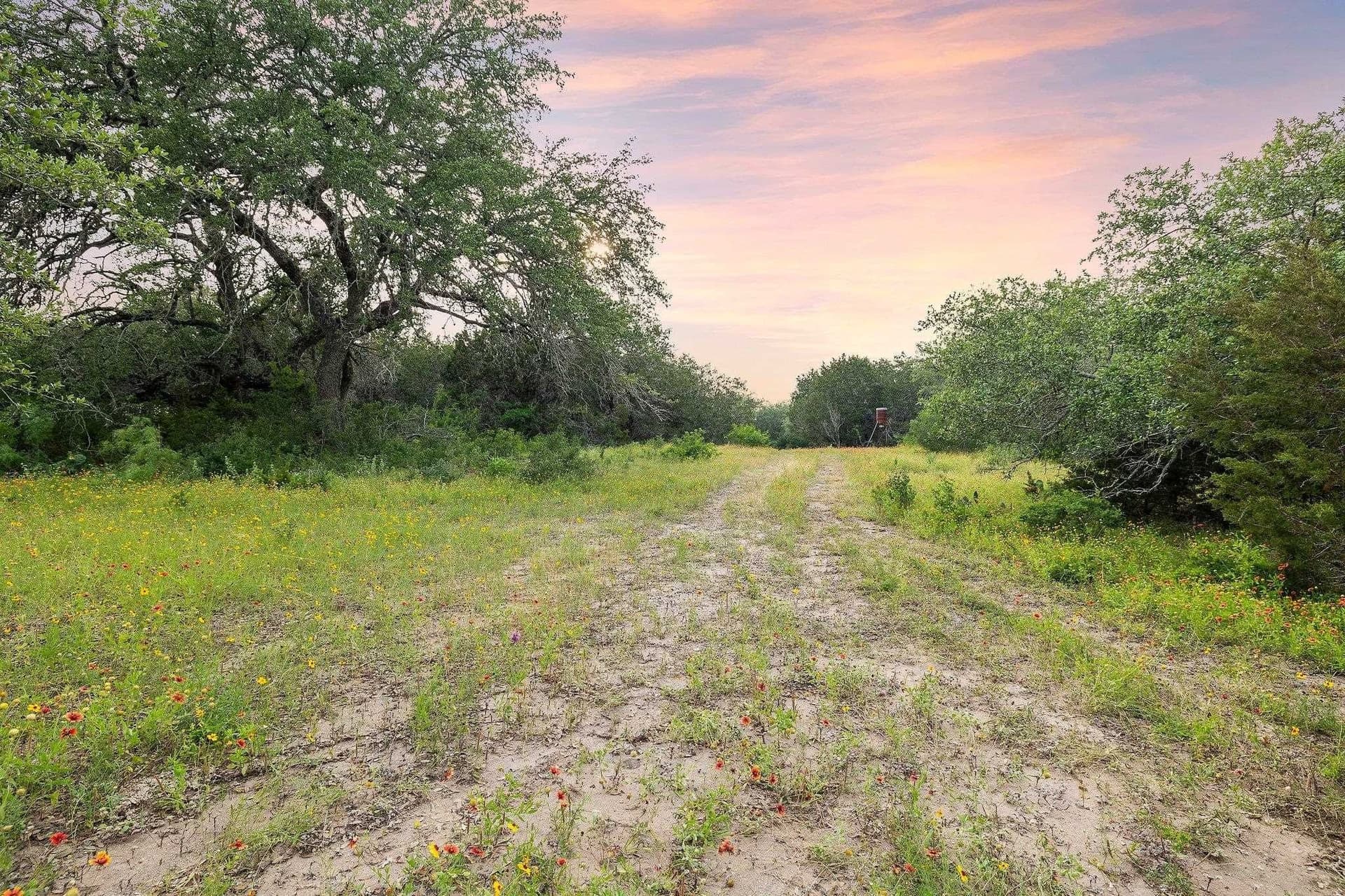 50 acres in Burnet County - photo 13
