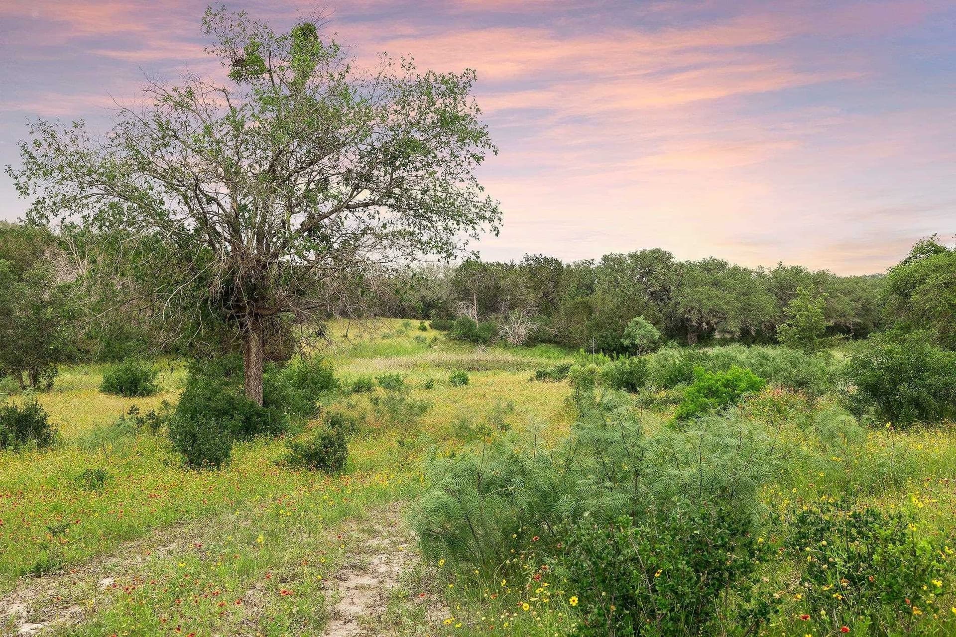 50 acres in Burnet County - photo 10