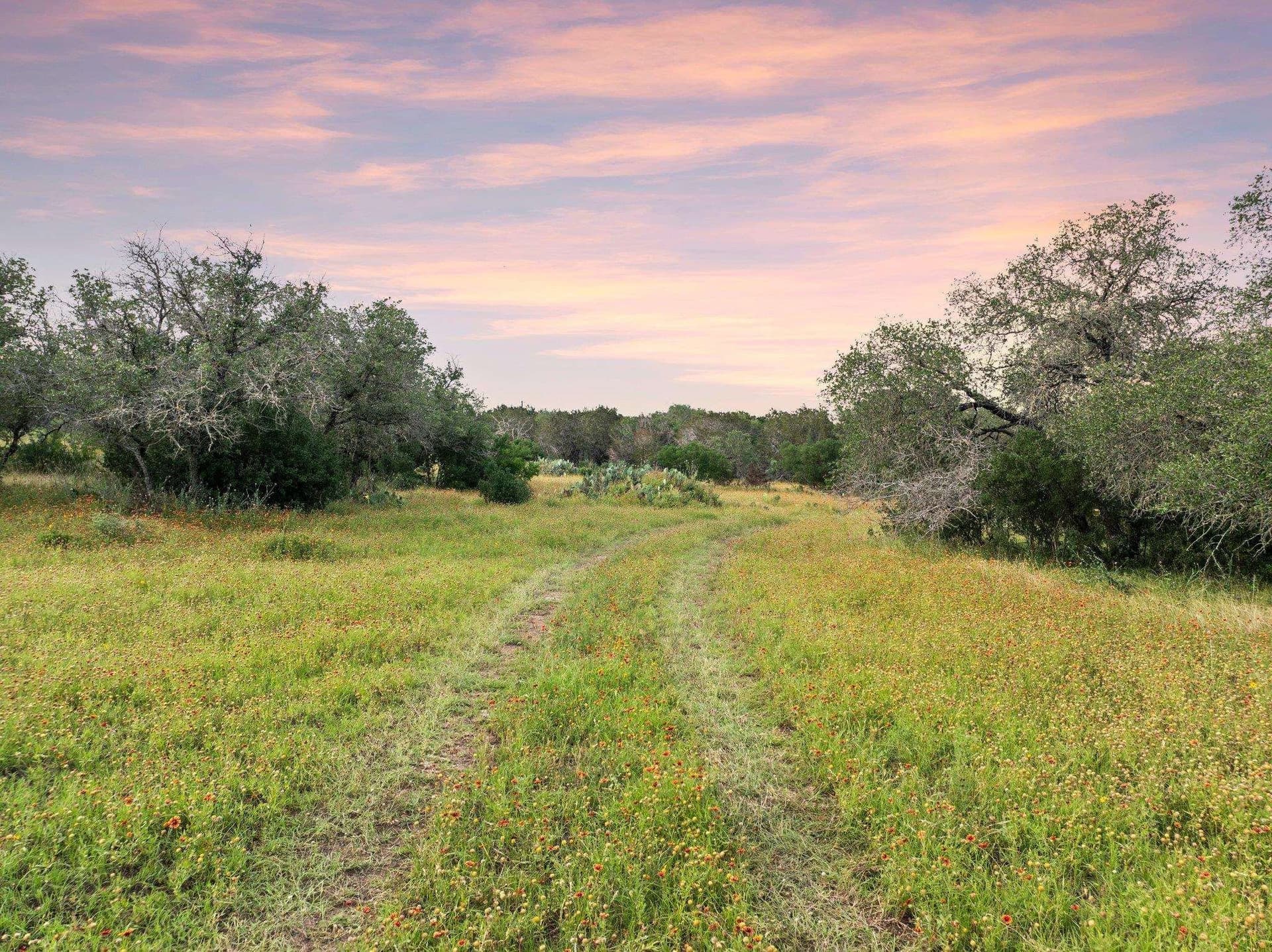50 acres in Burnet County gallery image 3