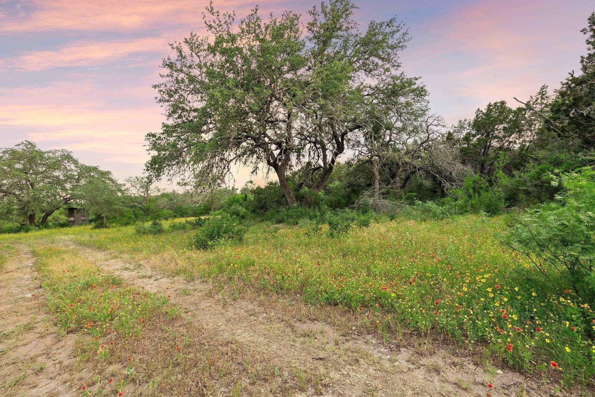50 acres in Burnet County - photo 9