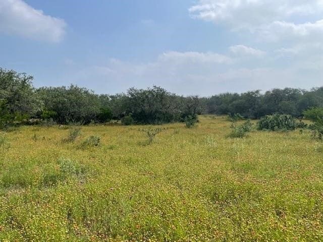 50 acres in Burnet County - photo 29