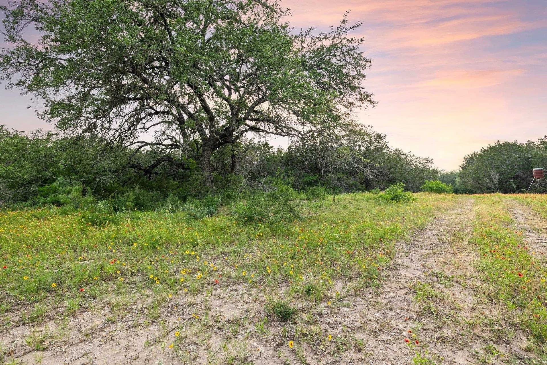 50 acres in Burnet County featured view