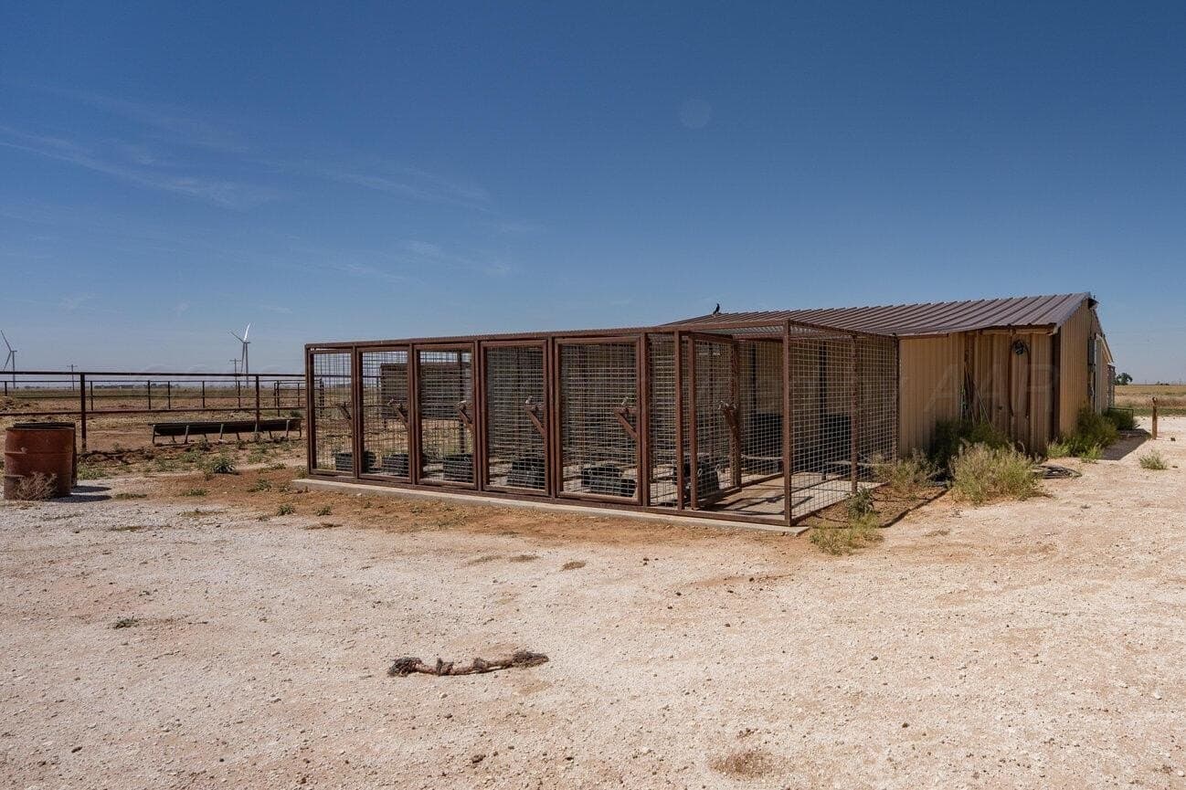 155 acres in Parmer County gallery image 2