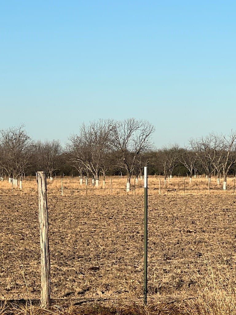 10 acres in Maverick County featured view
