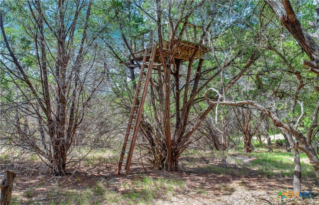 3.91 acres in Comal County - photo 16