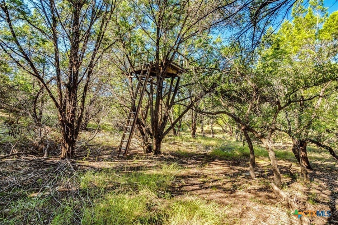 3.91 acres in Comal County - photo 15