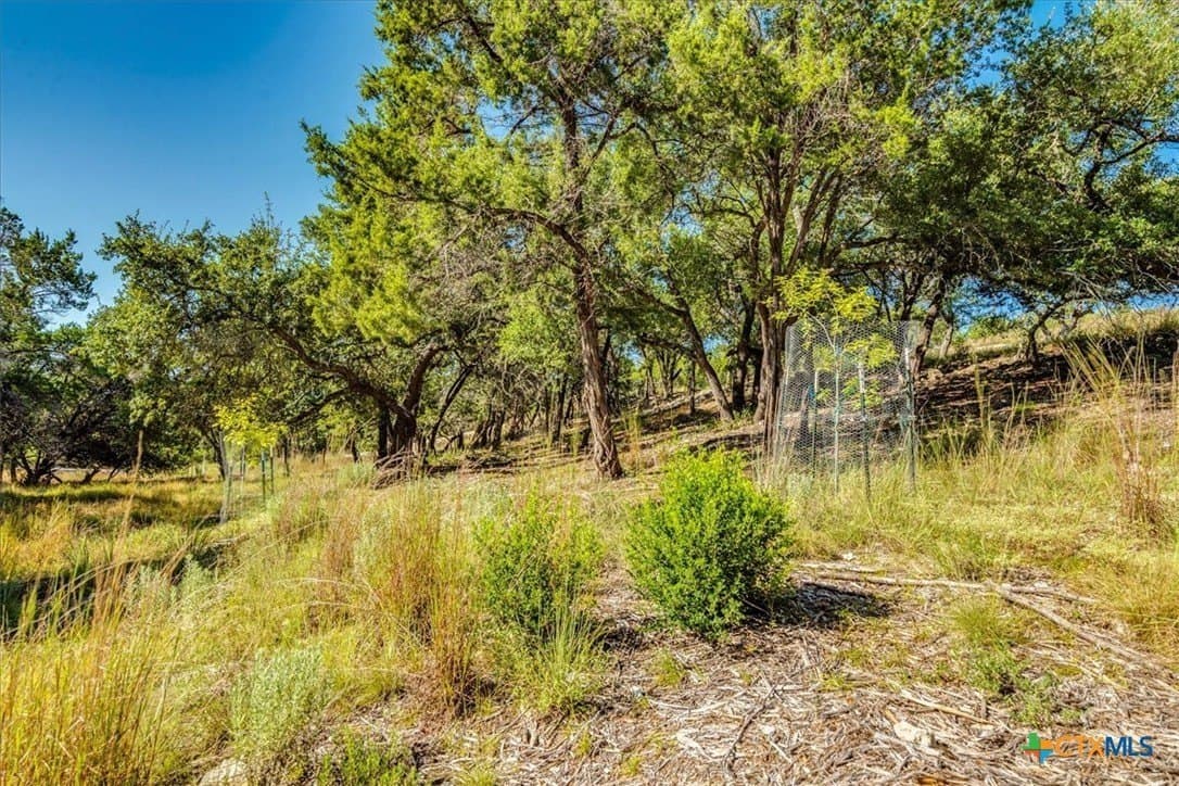 3.91 acres in Comal County - photo 11