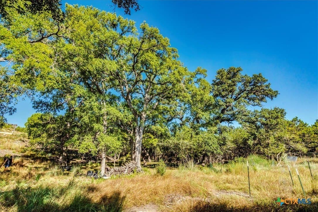 3.91 acres in Comal County - photo 13