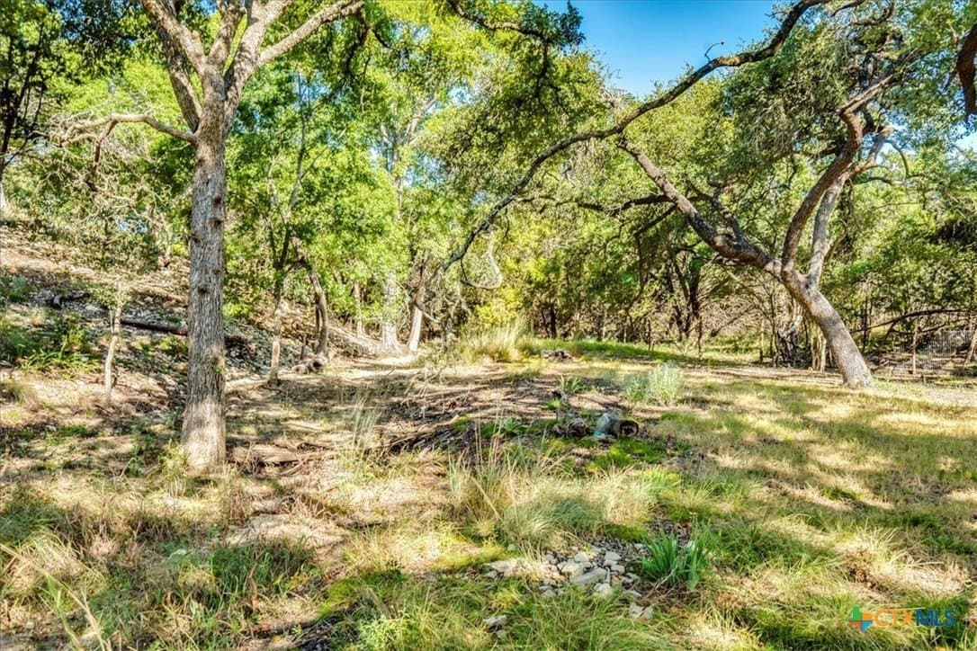3.91 acres in Comal County - photo 12