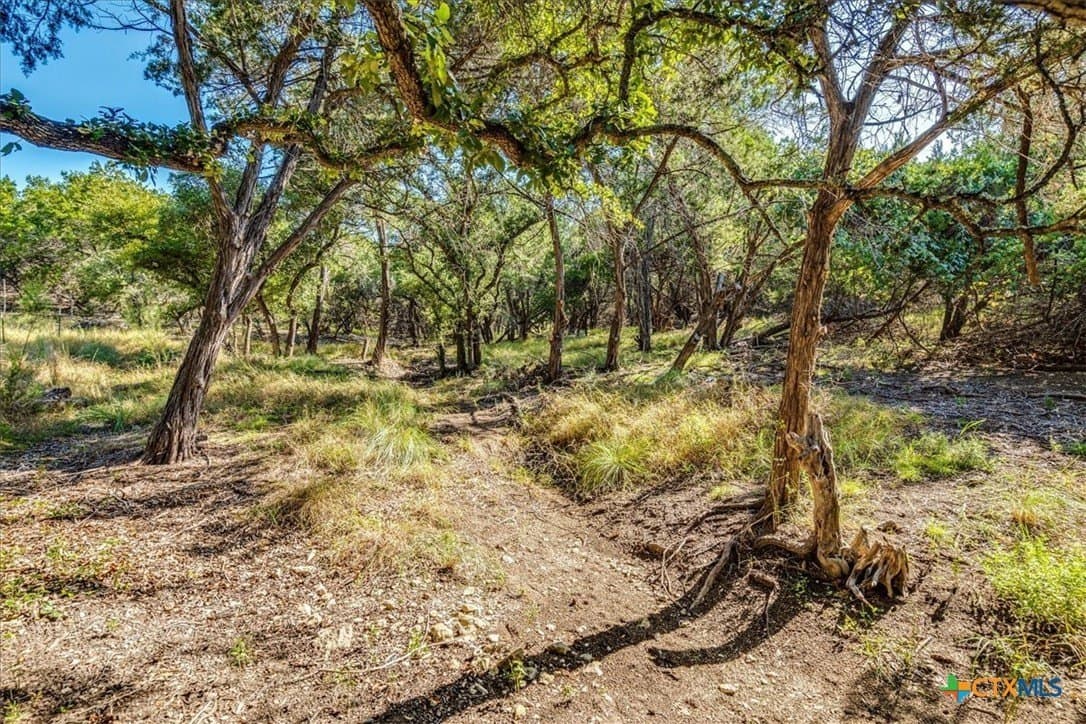 3.91 acres in Comal County - photo 14