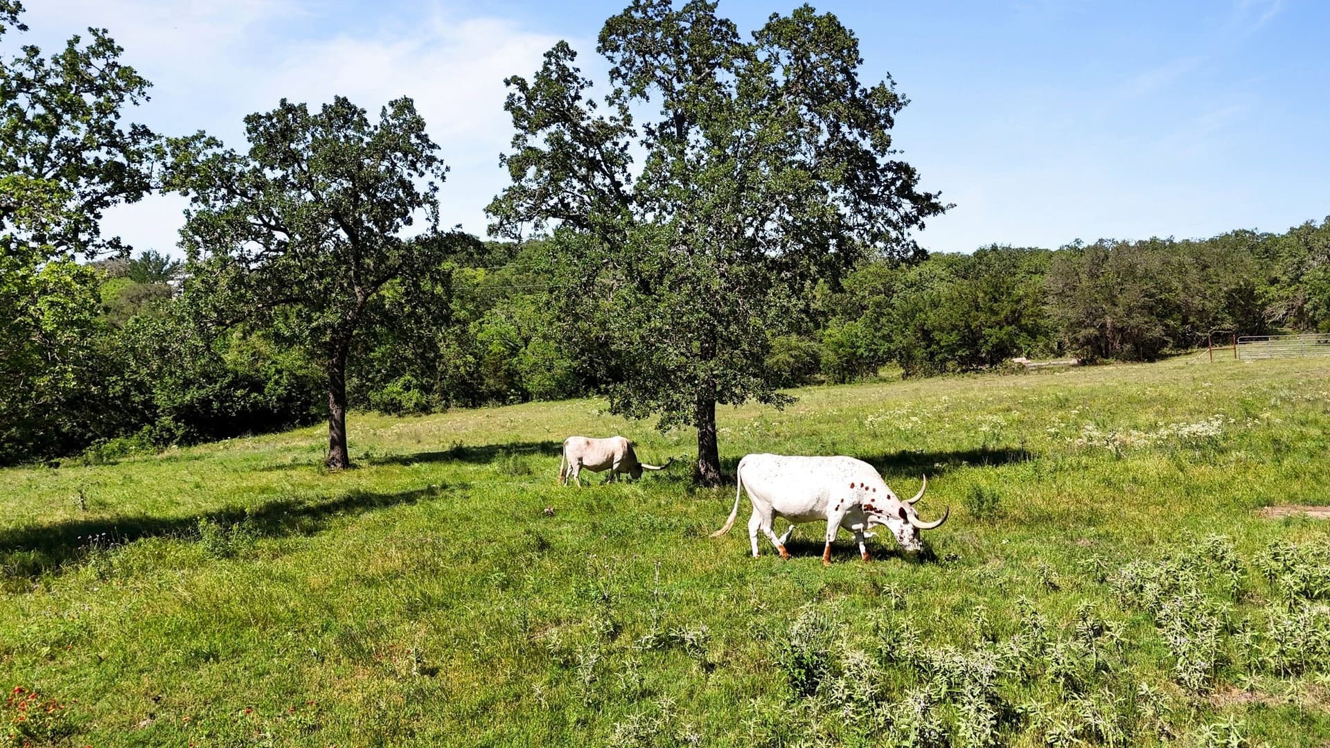 15 acres in Wise County - photo 24