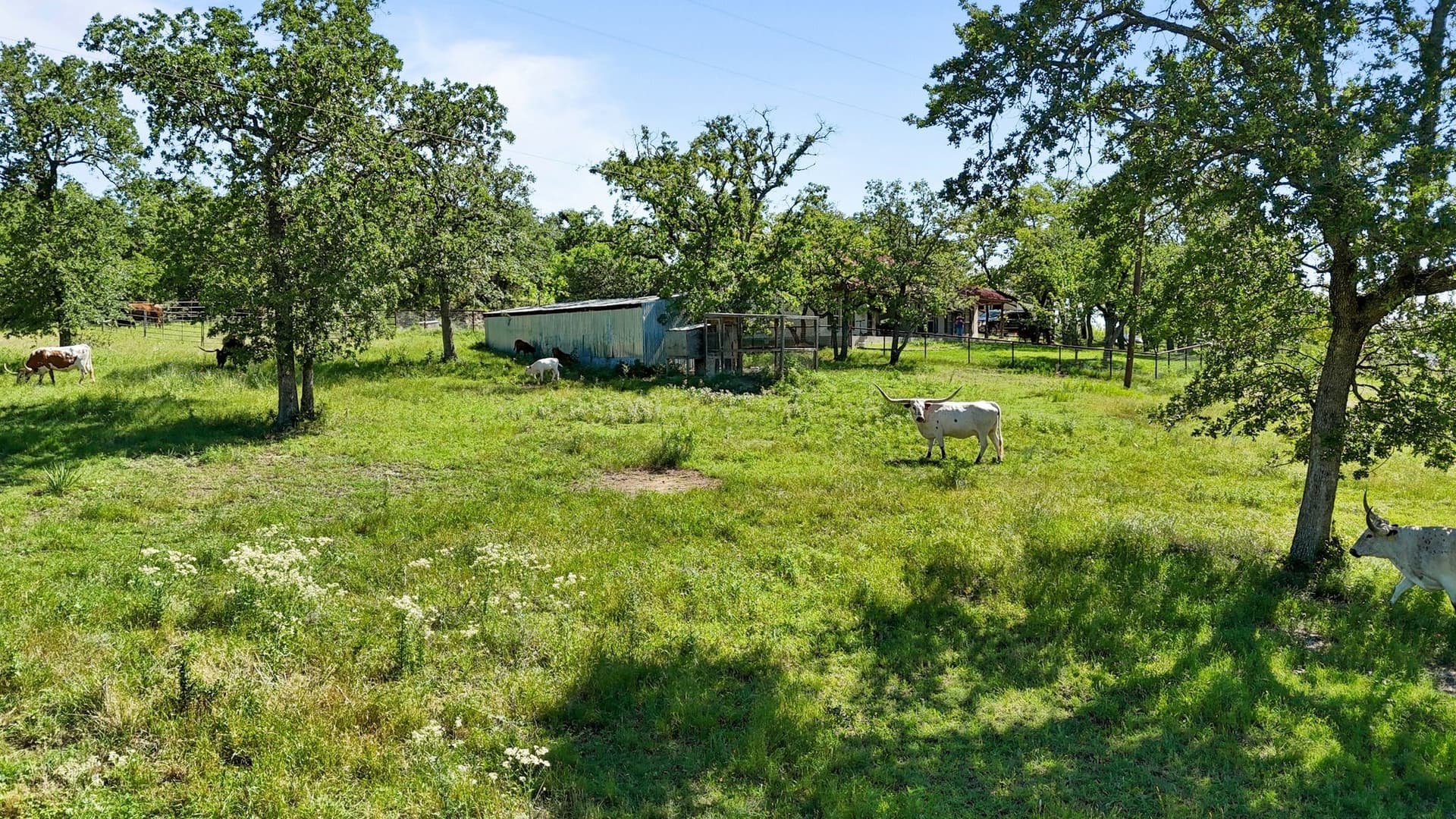 15 acres in Wise County - photo 25