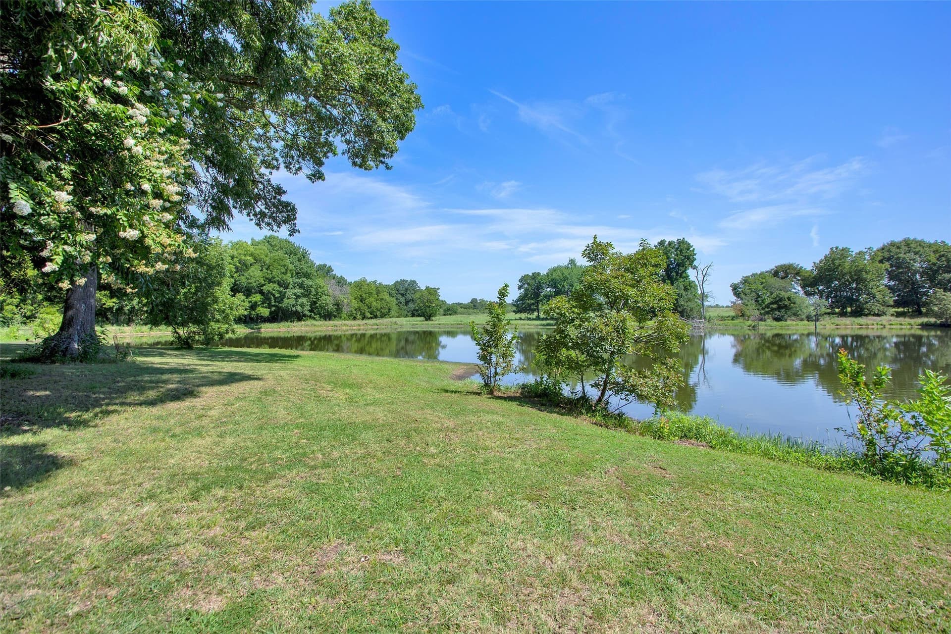 12 acres in Grayson County - photo 14