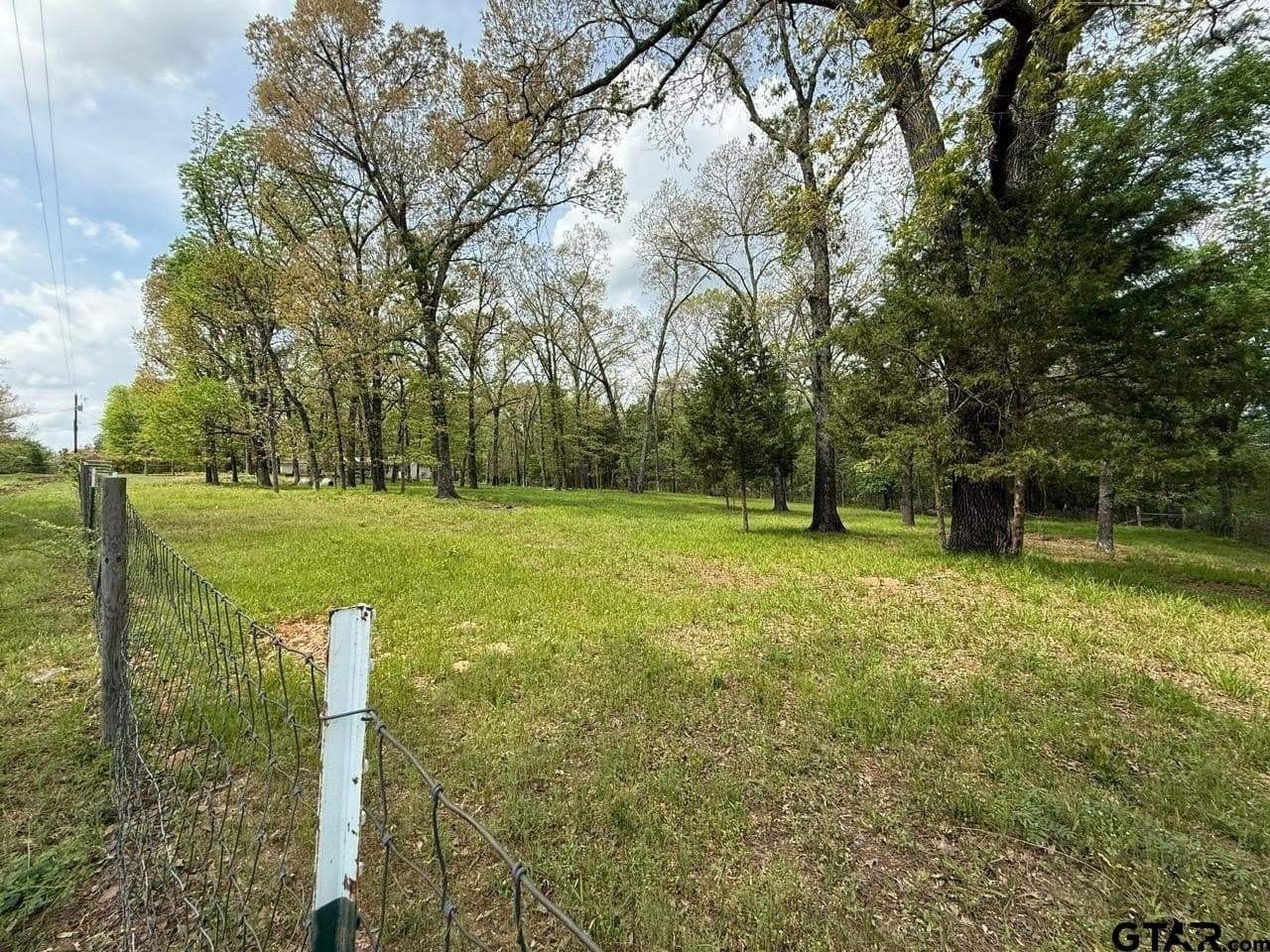 8.69 acres in Wood County gallery image 4