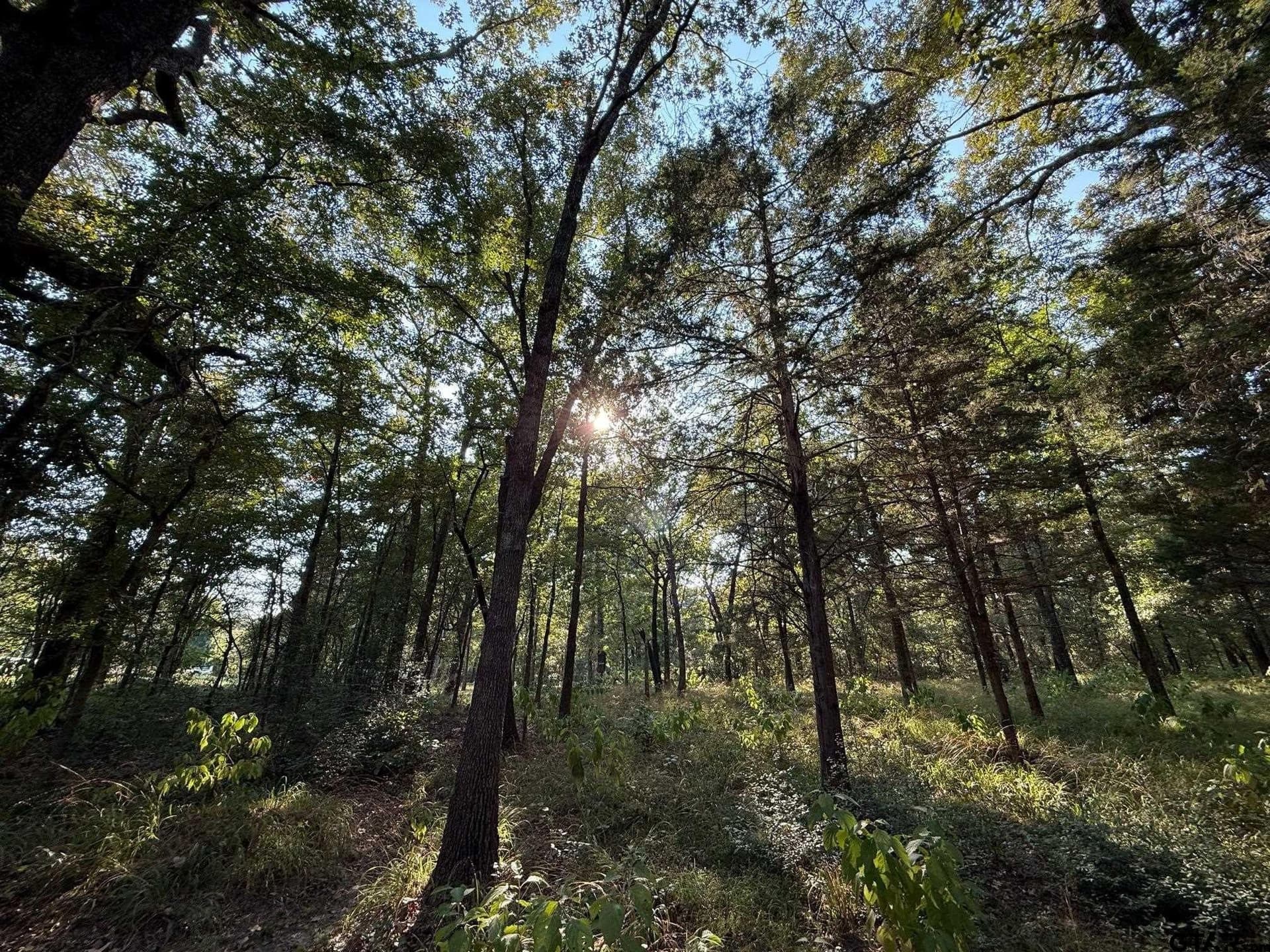 8.69 acres in Wood County