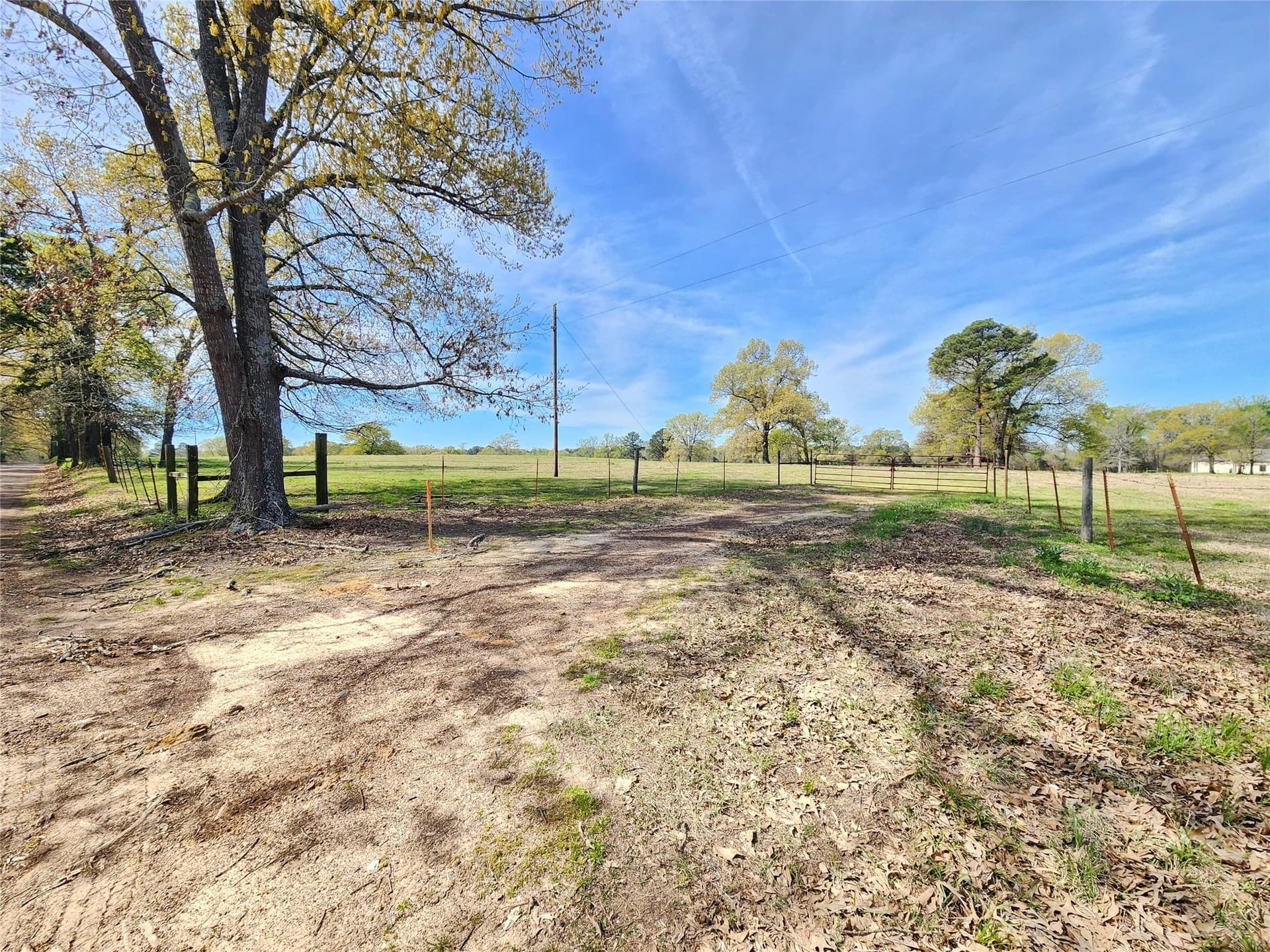 1.8 acres in Upshur County gallery image 2