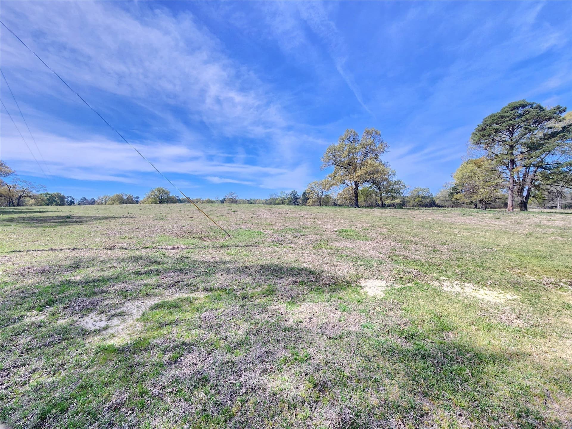 1.8 acres in Upshur County gallery image 3