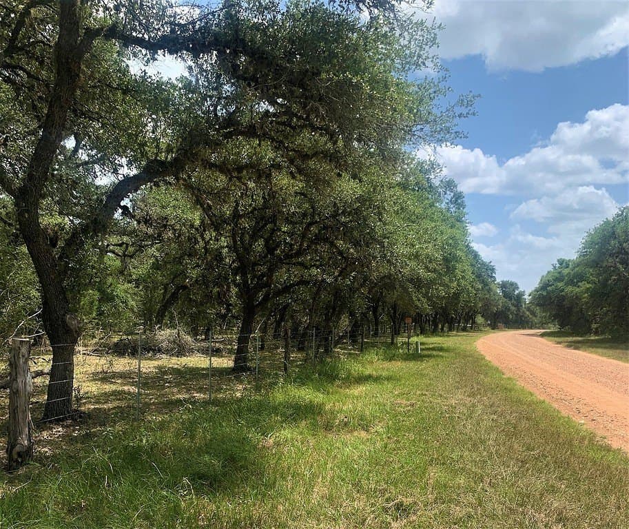 11 acres in Lavaca County - photo 9