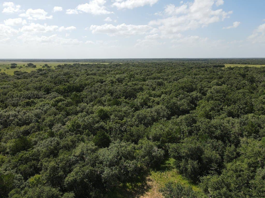 11 acres in Lavaca County - photo 21