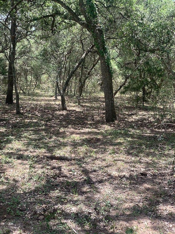 11 acres in Lavaca County - photo 13