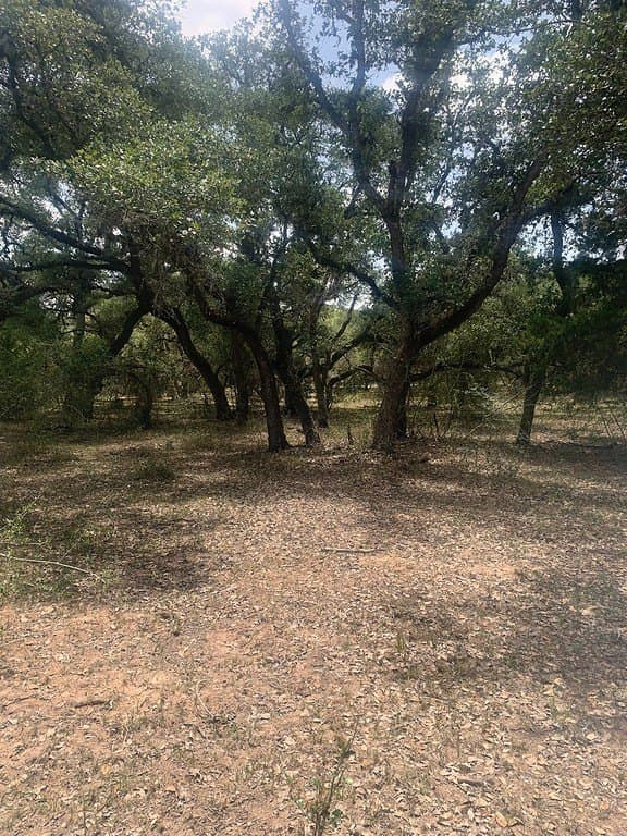11 acres in Lavaca County - photo 12