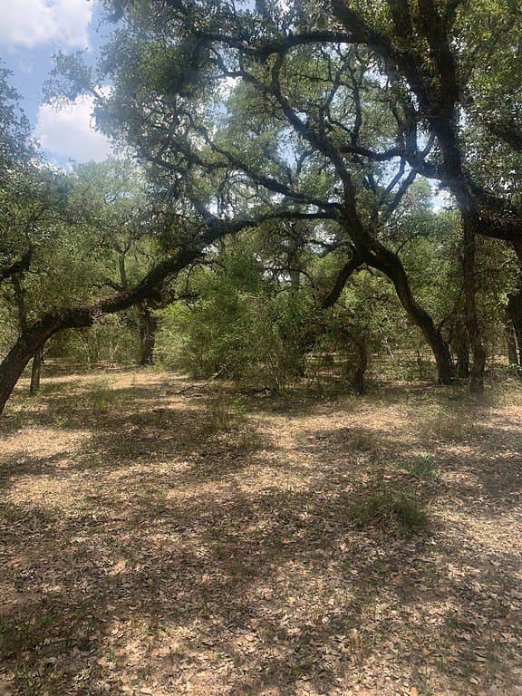 11 acres in Lavaca County - photo 10