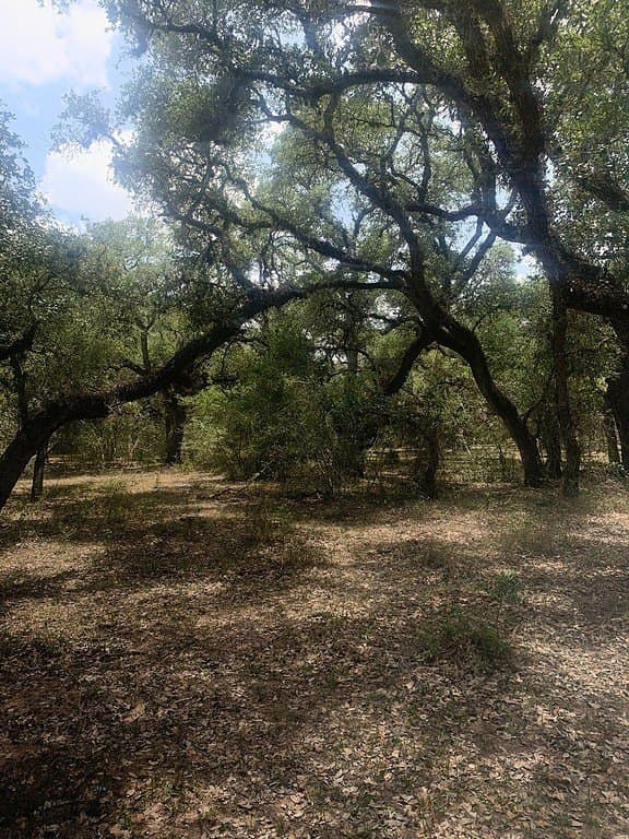 11 acres in Lavaca County - photo 11