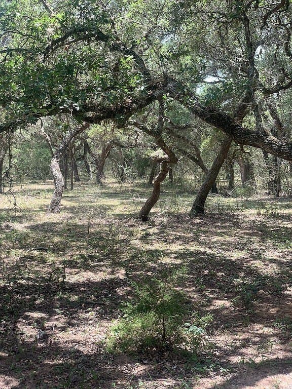 11 acres in Lavaca County - photo 14