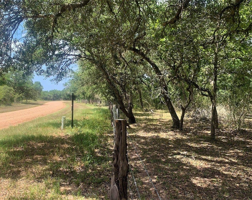 11 acres in Lavaca County - photo 17