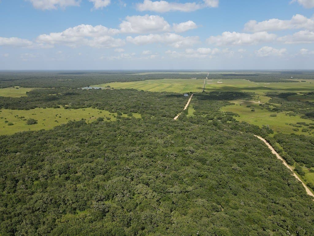 11 acres in Lavaca County - photo 19