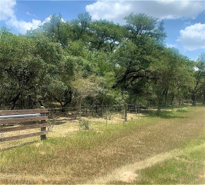 11 acres in Lavaca County - photo 8