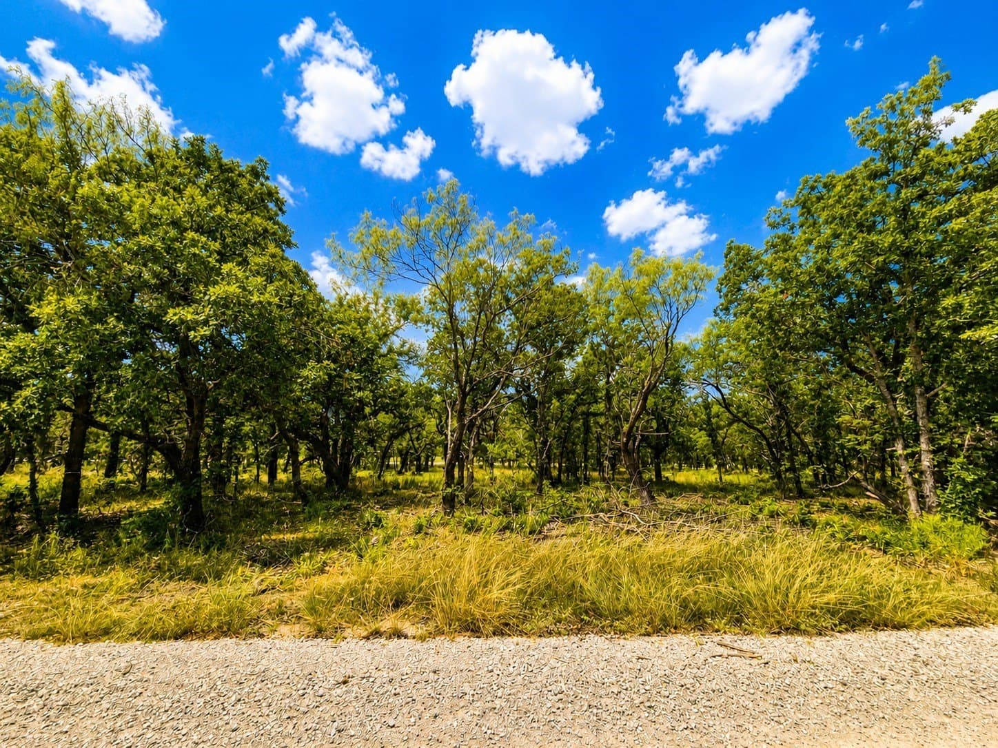 1.94 acres in Wise County - photo 11