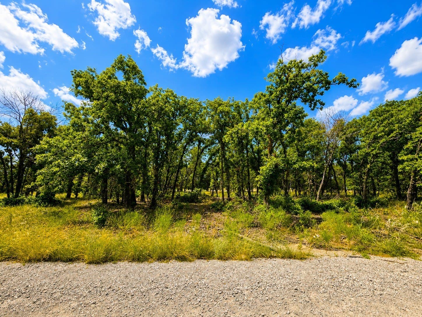 1.94 acres in Wise County - photo 7