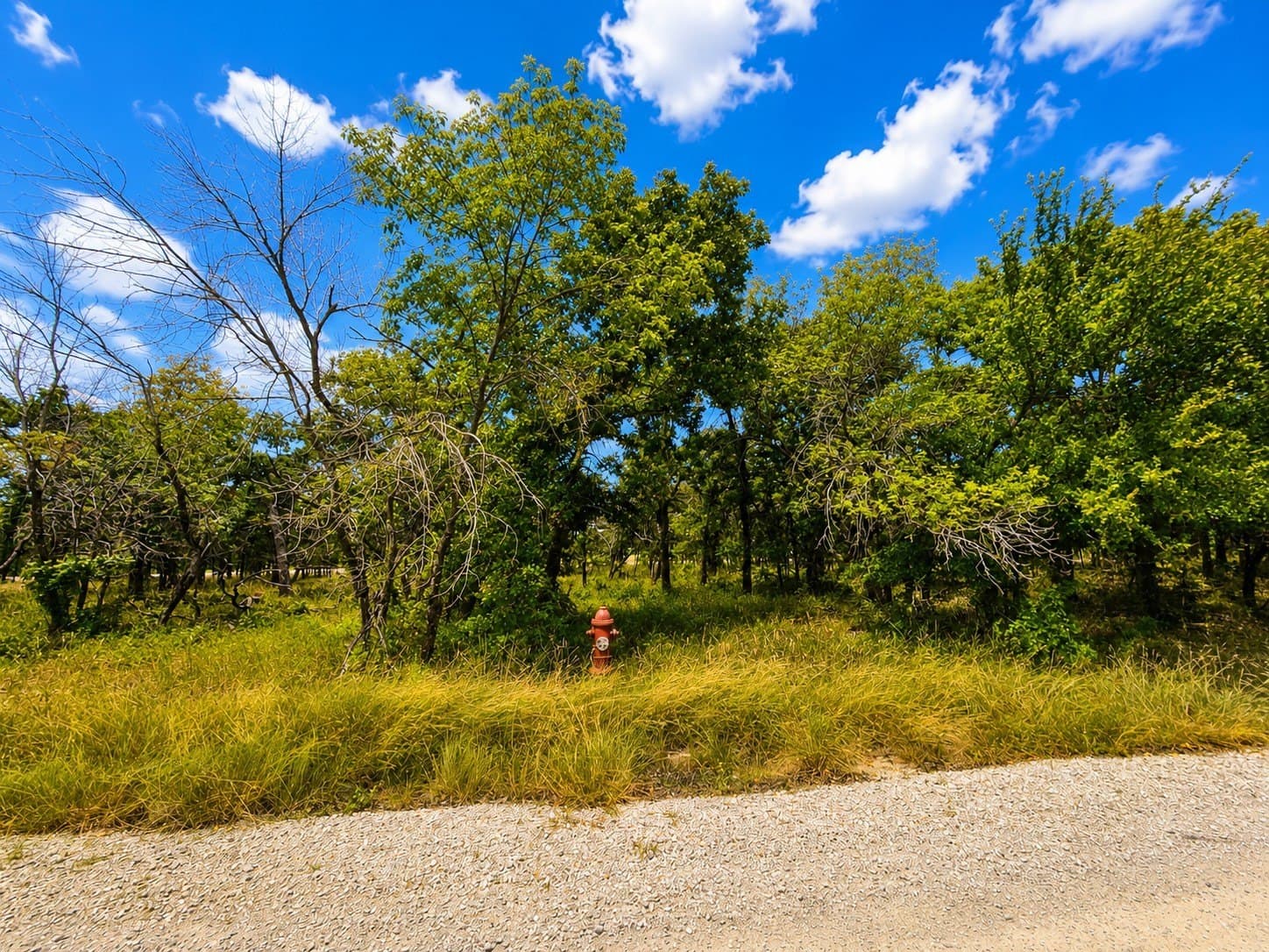 1.94 acres in Wise County - photo 9