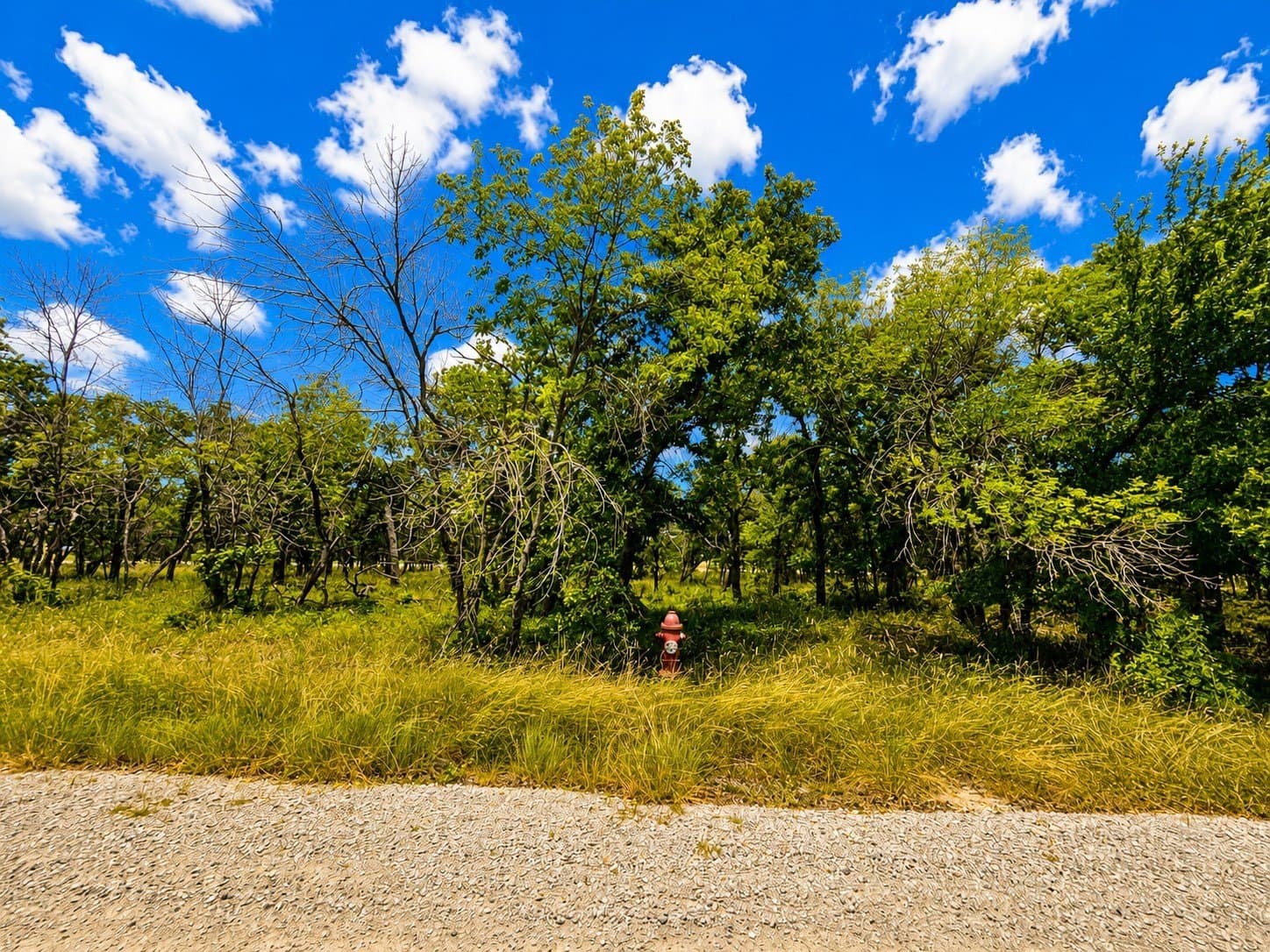 1.94 acres in Wise County - photo 10