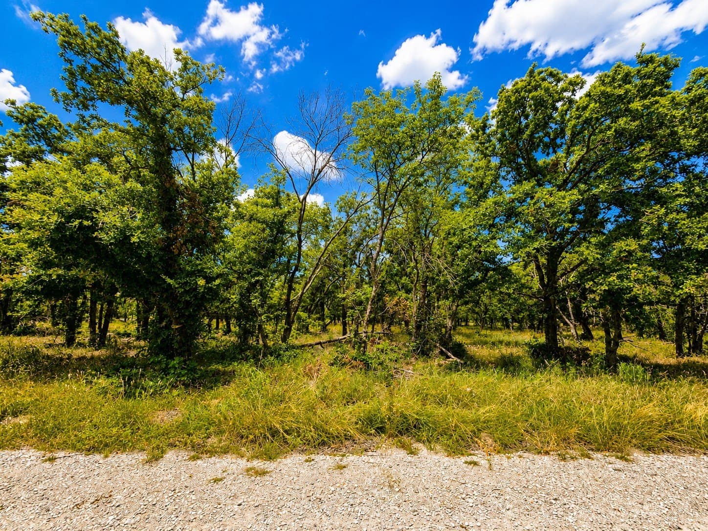 1.94 acres in Wise County - photo 8