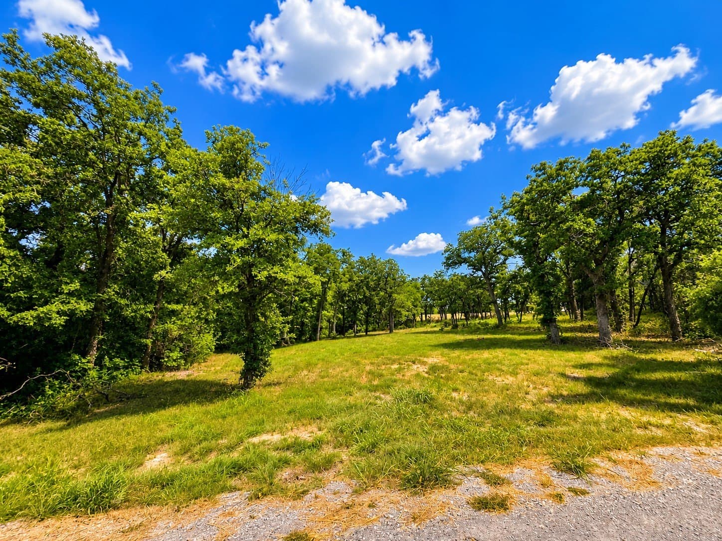 1.94 acres in Wise County featured view