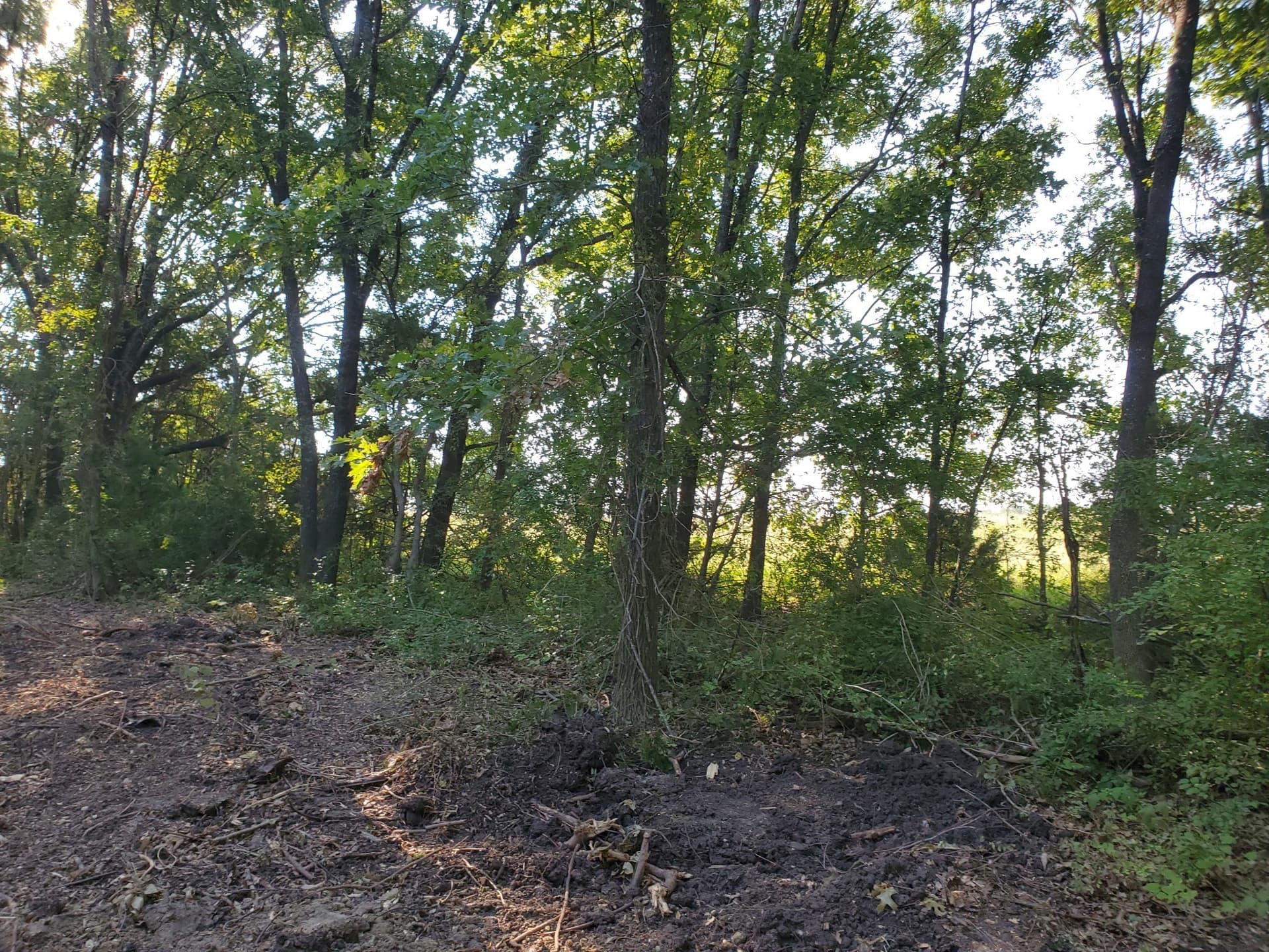 1.55 acres in Dallas County - photo 10