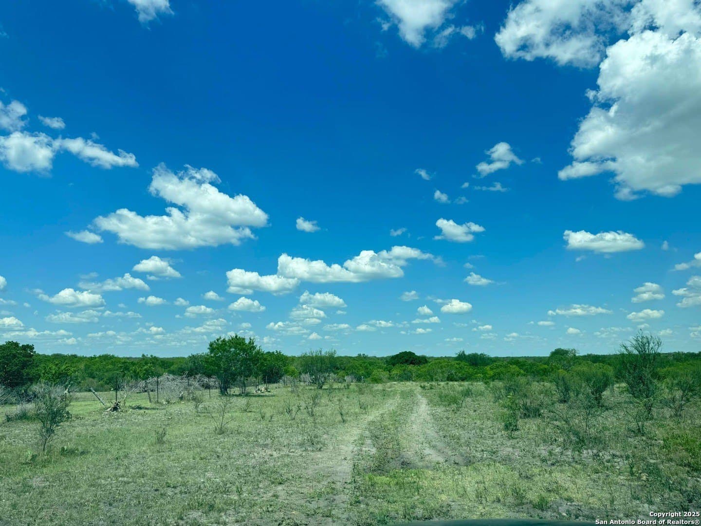 10 acres in Karnes County - photo 2