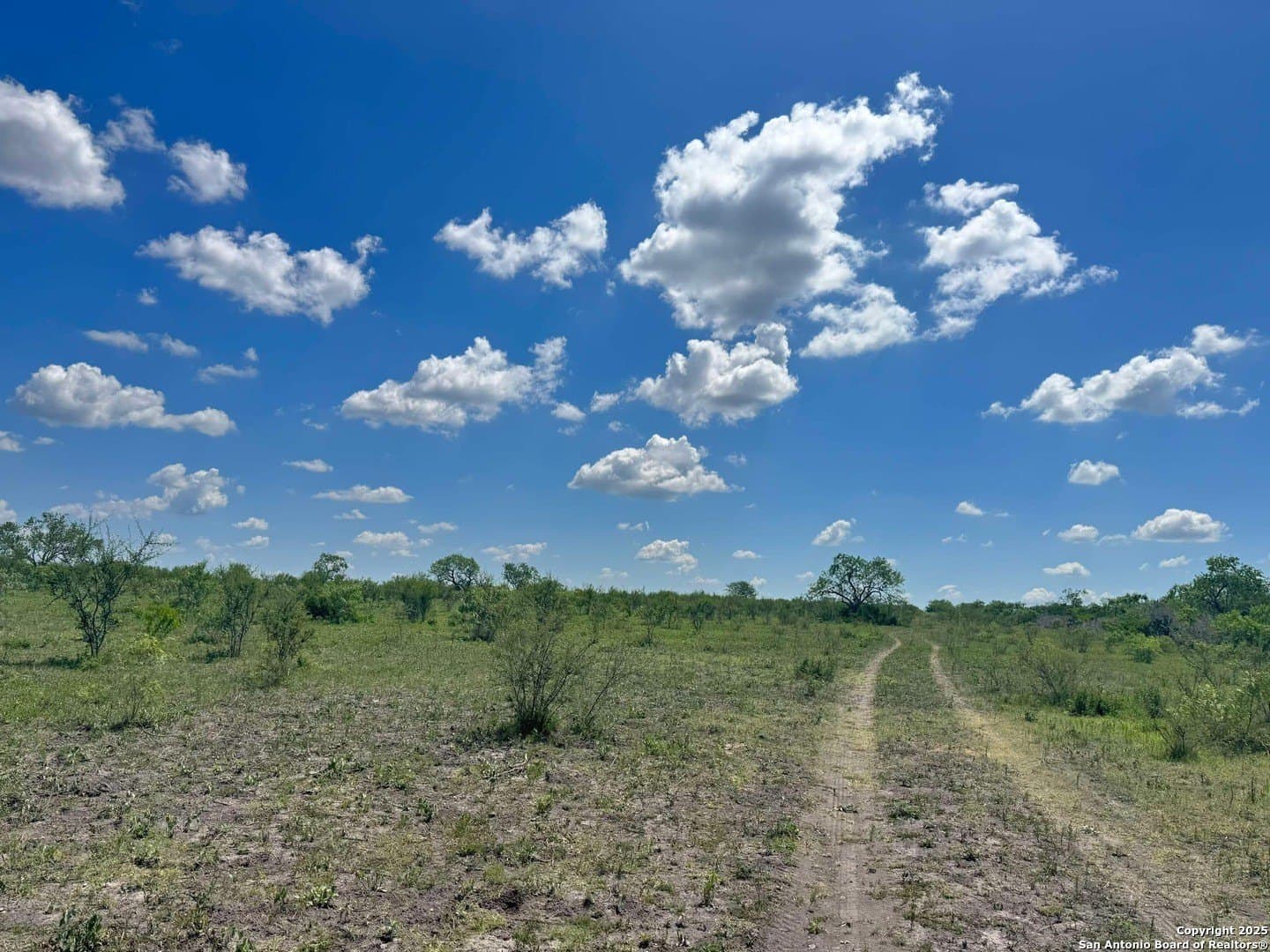 10 acres in Karnes County - photo 3