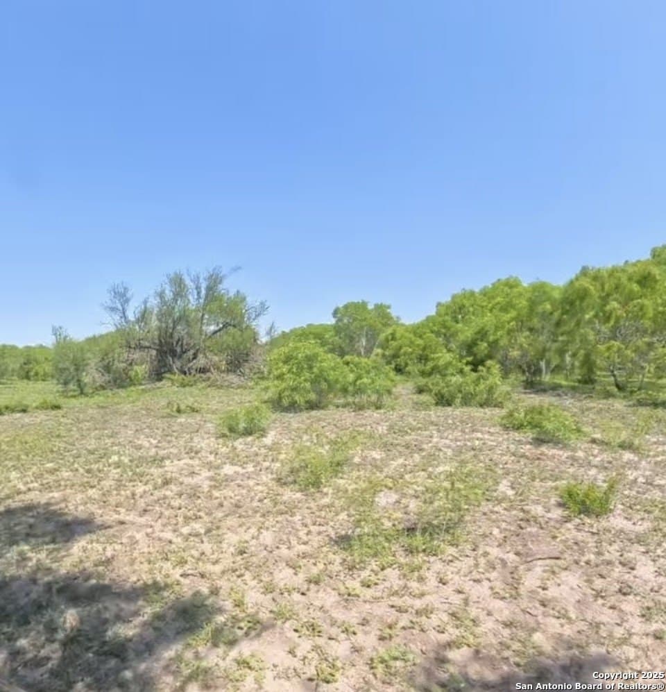 10 acres in Karnes County - photo 5