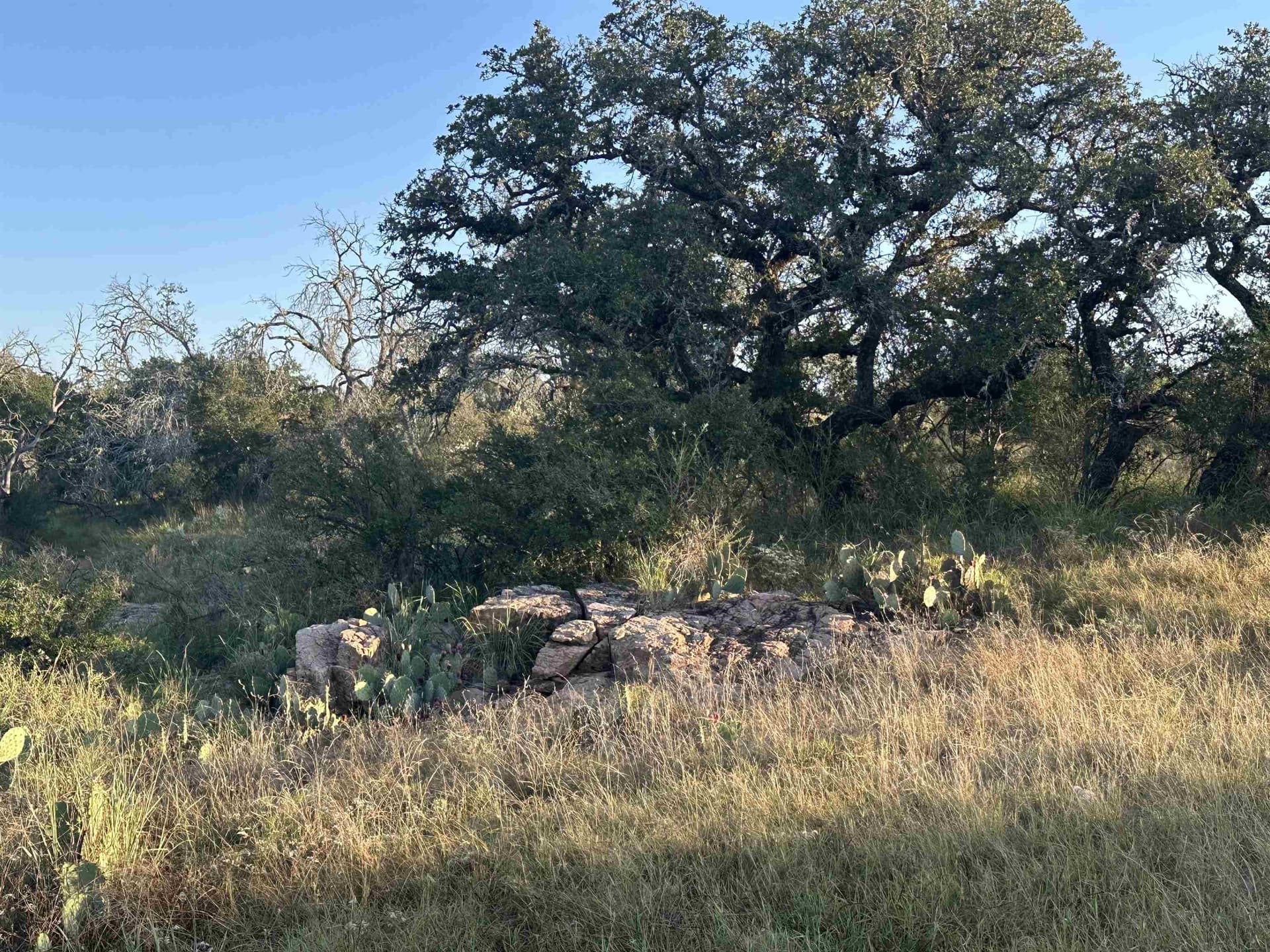 445 acres in Mason County gallery image 4