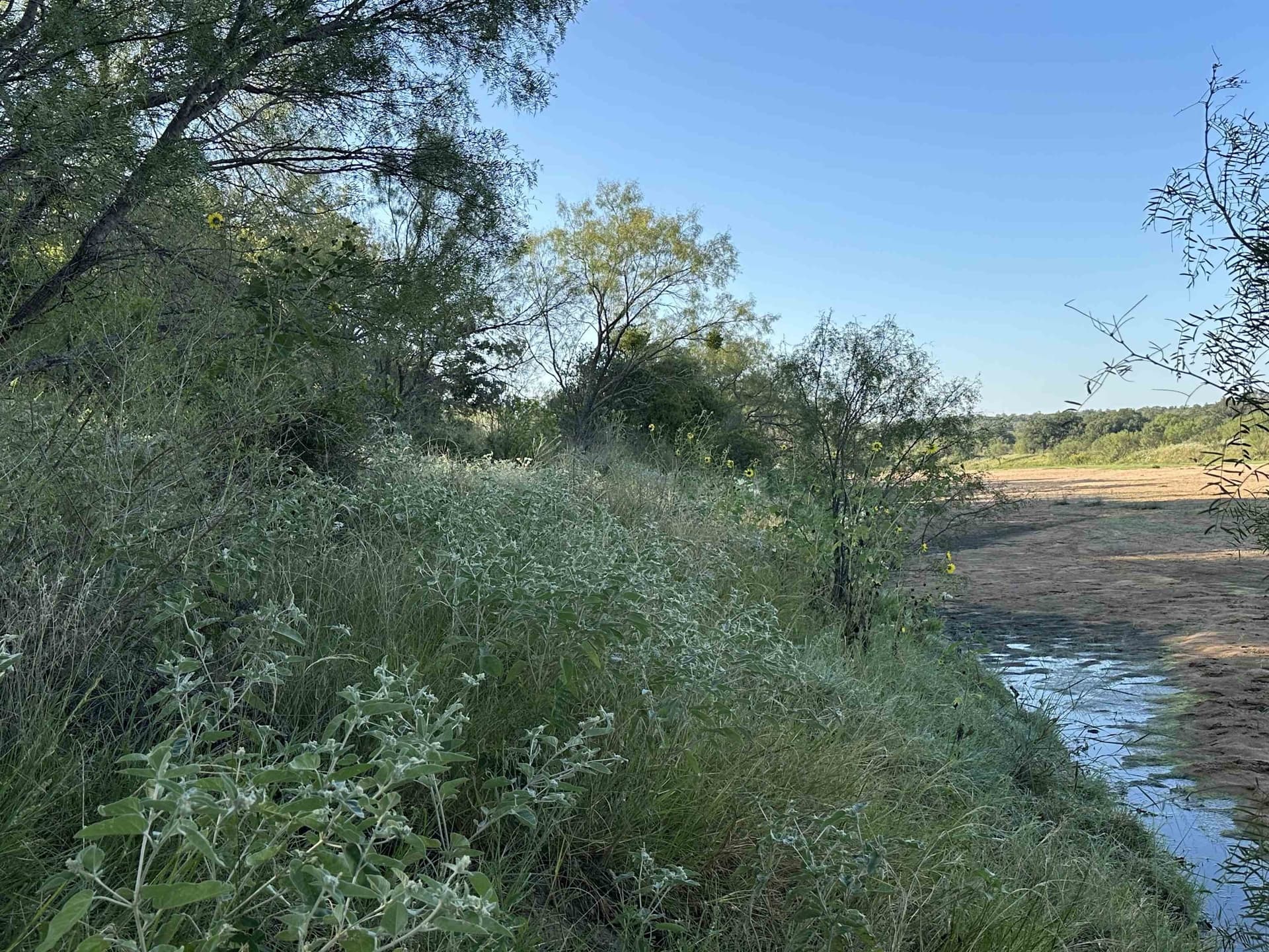 445 acres in Mason County gallery image 2