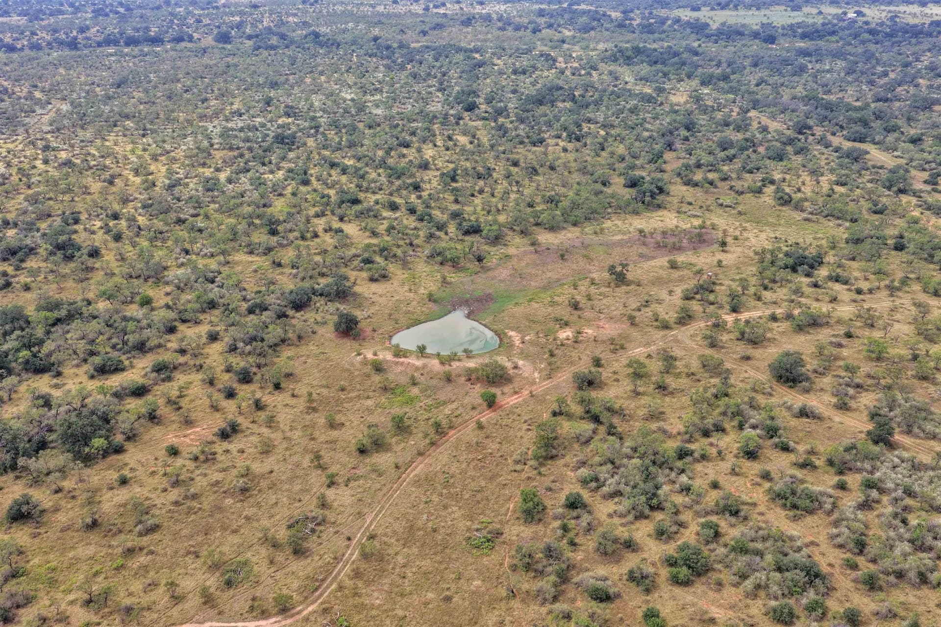 445 acres in Mason County featured view