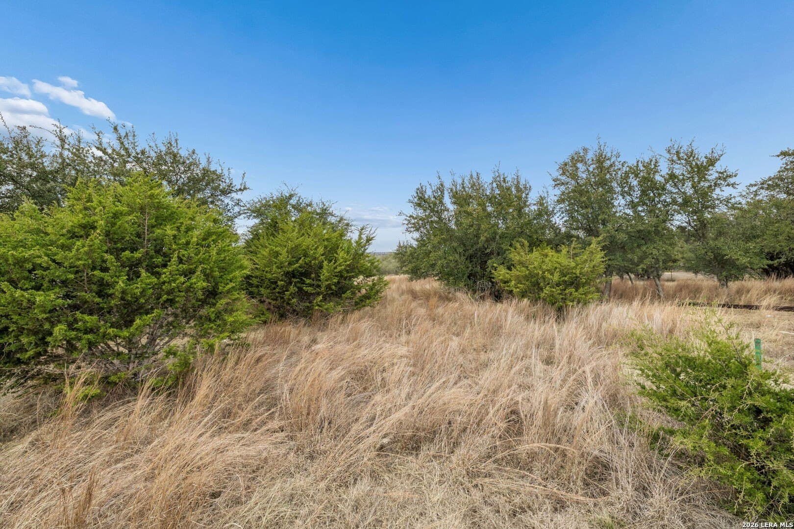 0.4 acres in Blanco County - photo 10